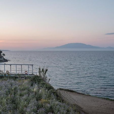 Bellezza Del Mare Daire Ammoudi Dış mekan fotoğraf