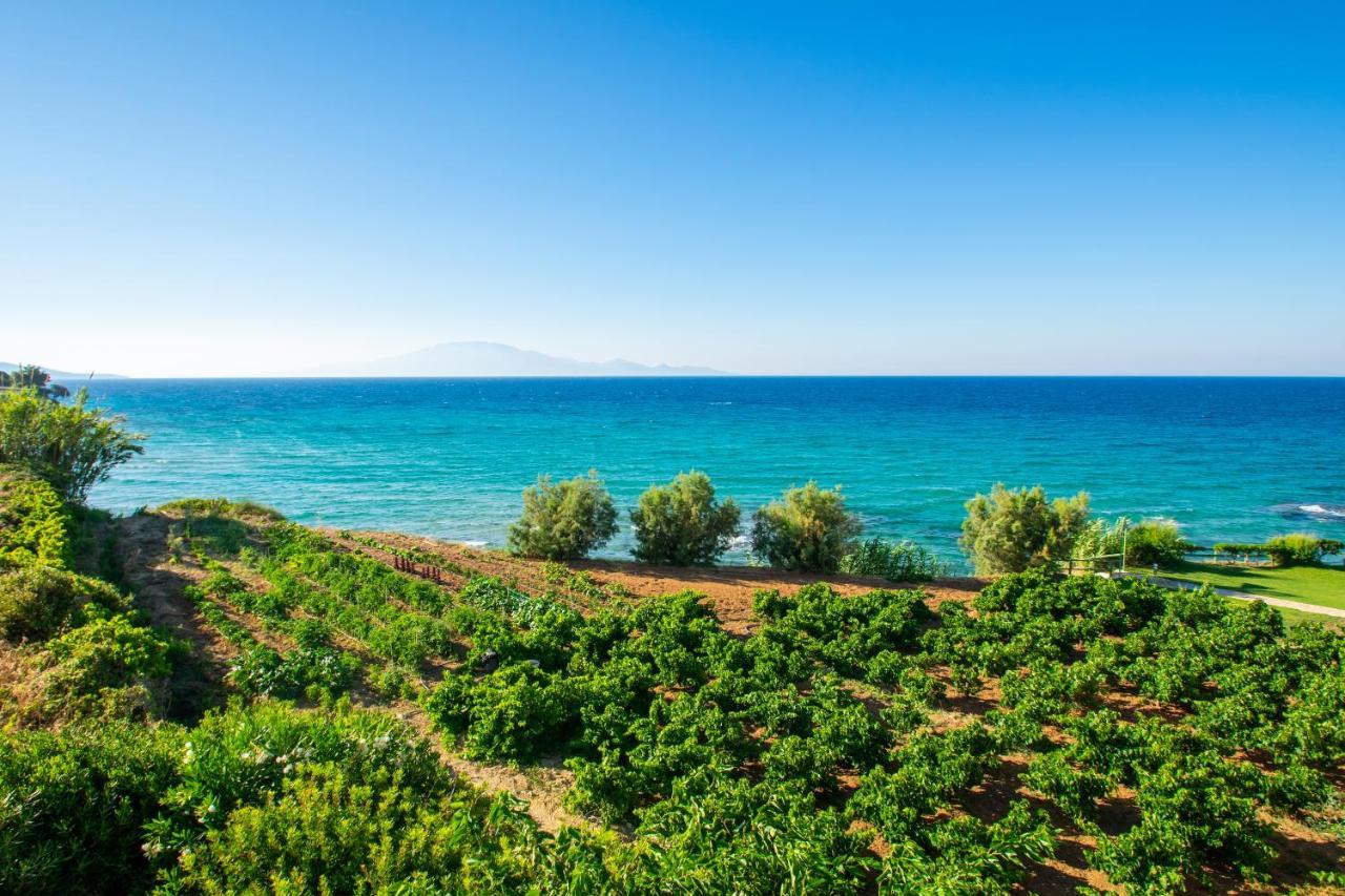 Bellezza Del Mare Daire Ammoudi Dış mekan fotoğraf